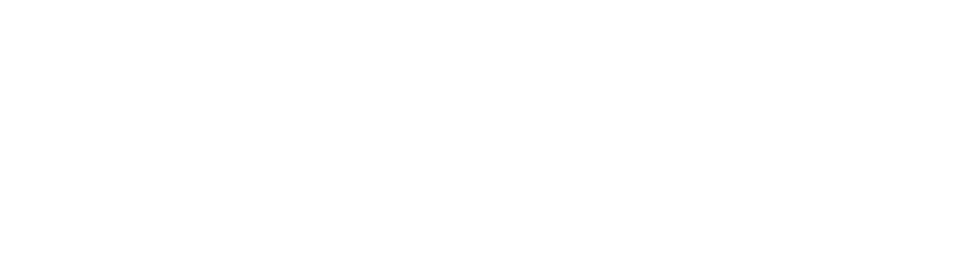 Transport Professionals Association