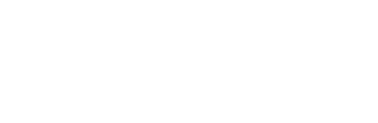 Transport Professionals Association